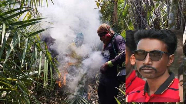 সুন্দরবনে বাঘের আক্রমণে মৌয়ালের মৃত্যু