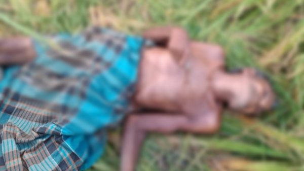 সাতক্ষীরার পাটকেলঘাটায় ধানক্ষেতে থেকে বৃদ্ধের মরদেহ উদ্ধার