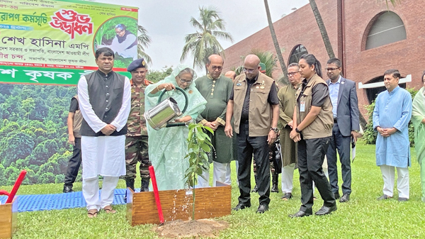 সবুজ বাংলাদেশ গড়ে তুলুন : প্রধানমন্ত্রী