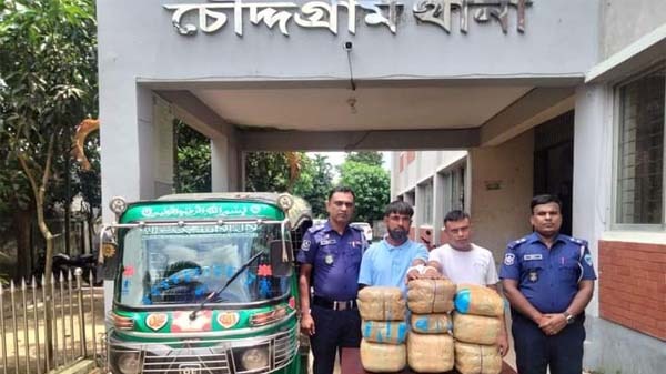 কুমিল্লার চৌদ্দগ্রামে ২৫ কেজি গাঁজাসহ গ্রেফতার-২