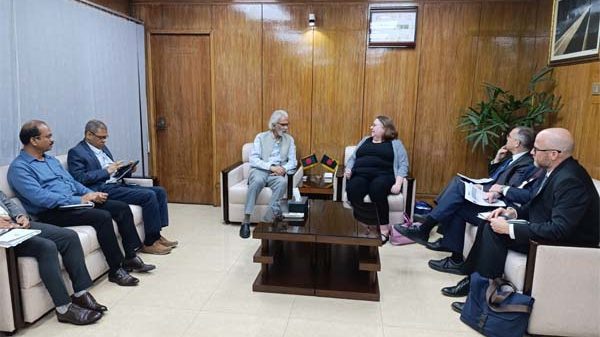 স্থানীয় সরকার উপদেষ্টার সাথে মার্কিন চার্জ দ্য এফেয়ার্সের বৈঠক অনুষ্ঠিত