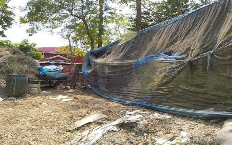 মুন্সীগঞ্জের শ্রীনগরে খামারীর গরু চুরি